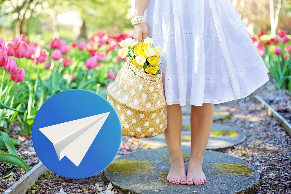 Telegram Phönix